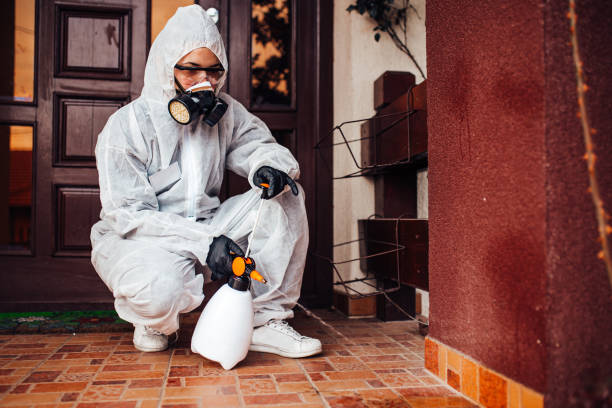 Reliable Wasp Removal contractor in Brenham, TX by Show Me Pest Control