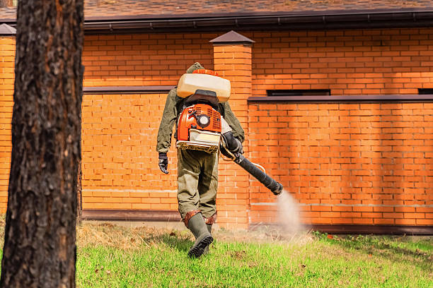 Top rated local Wasp Removal specialists in Brenham, TX